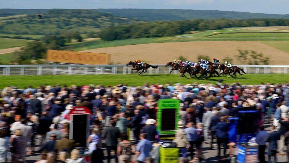 Horse racing at the Goodwood Festival 2021